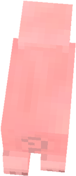 cute pig