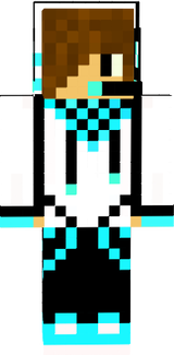 FlyDemix