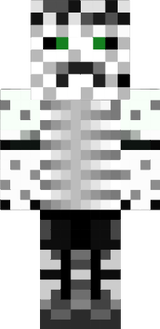 snow camo