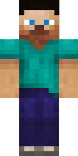 Steve had