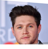 Niall Horan (Puppy Bee)