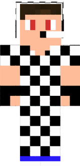 skin damier 