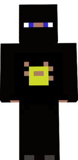 FENINJA