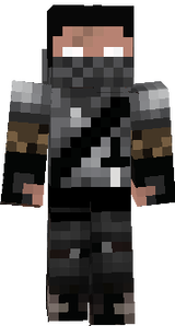 stev ninja