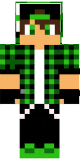 skin 2