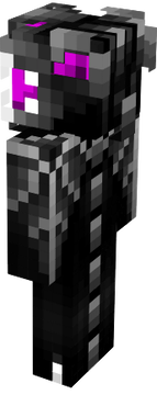 EnderDragon