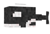 Killer Whale