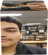 Carlos Oak Wood