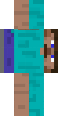Preview of texture: horizontal steve