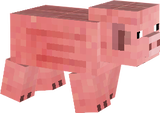 pig