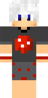 NinjaNERDD