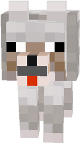 Coot Pupper