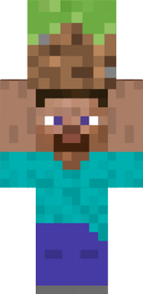 steve