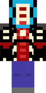 MC SKIN