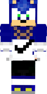 sonic el mejor erizo de todo el mundo