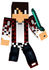 Inventar Skin