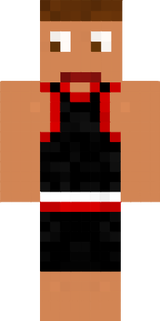 stegi