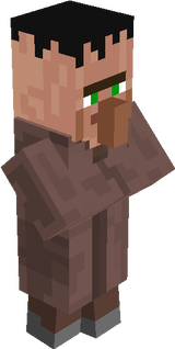 Hair-Villager