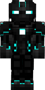 Skin pour la SKF