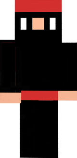  skin ninja 2