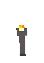 nova tocha