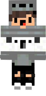 koala skin java