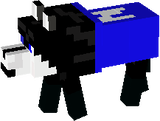 nicolasender