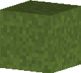 realistic grass block
