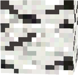 birch_log.json