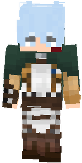 skin
