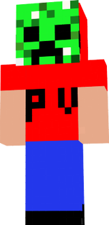 PVS 2