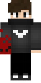 Skinim