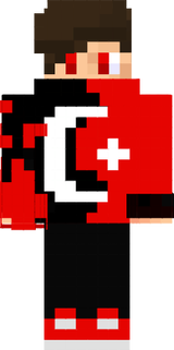 skin mcpe