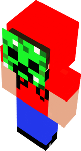 PVS 2