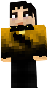 flash reverso