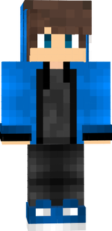 SKIN 333 1