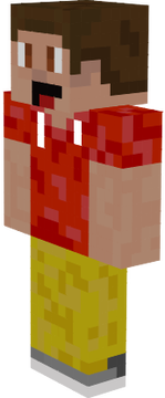 mini steeve