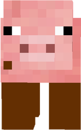 Muddy pig