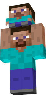 steve drzi steva