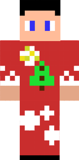 sky chrismas