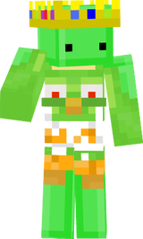 Turtle with Birb