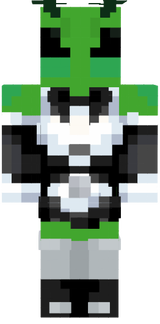 ISSpacer maid