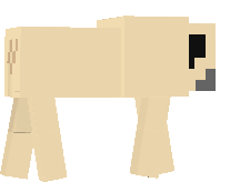 Preview of texture: Pug