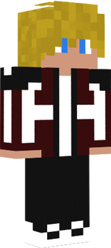 VizoGo