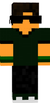 PaashPvPZika