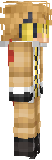 Preview of texture: hawks