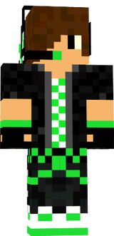skinn