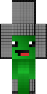 Tortuga pequeña 