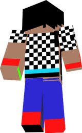 vinicraft_22_skin