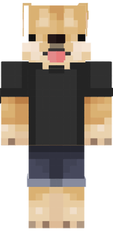 perro con remera B)